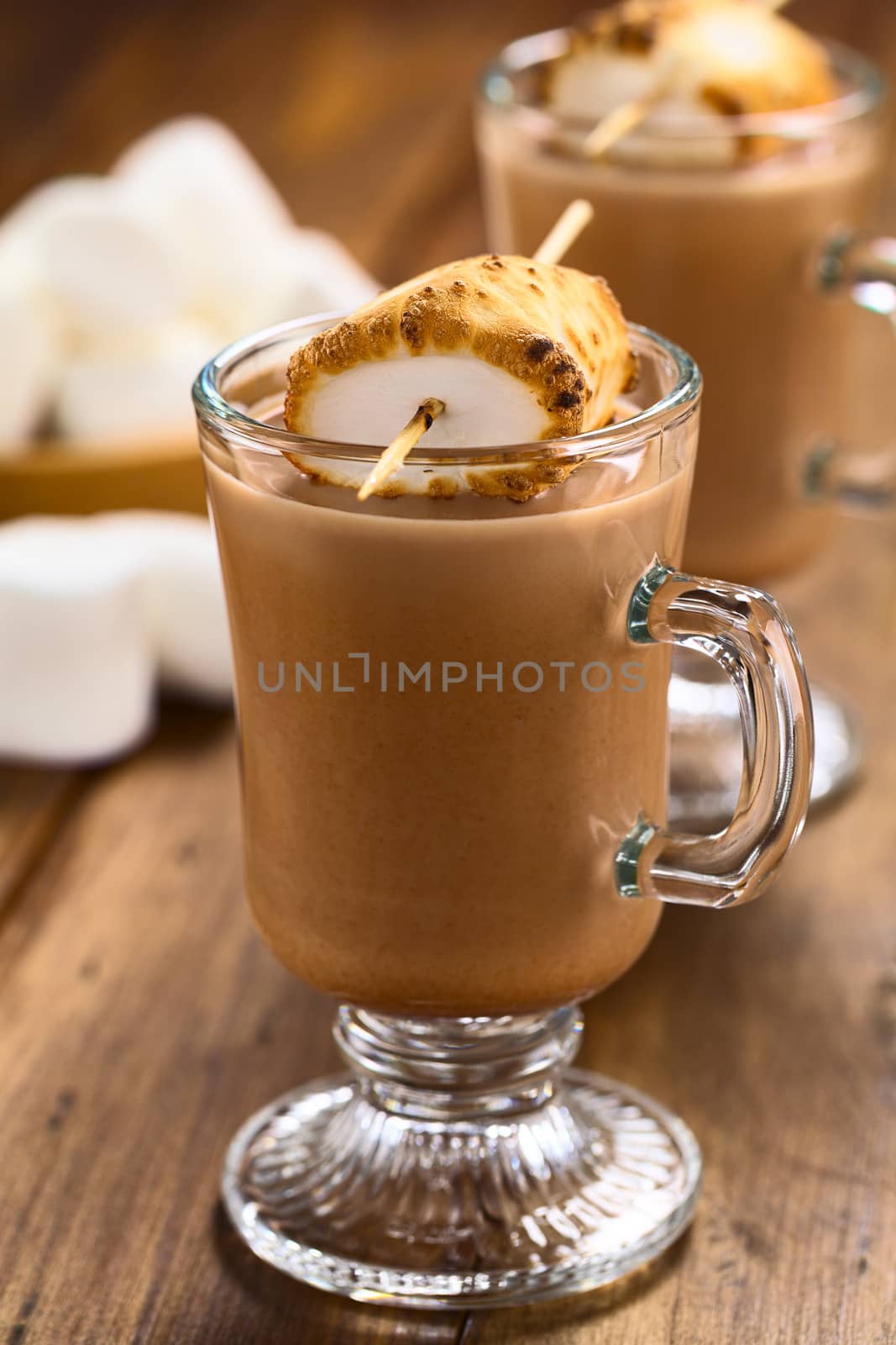 Hot chocolate with toasted marshmallow on a skewer on top on dark wood (Selective Focus, Focus on the front edge of the toasted marshmallow)