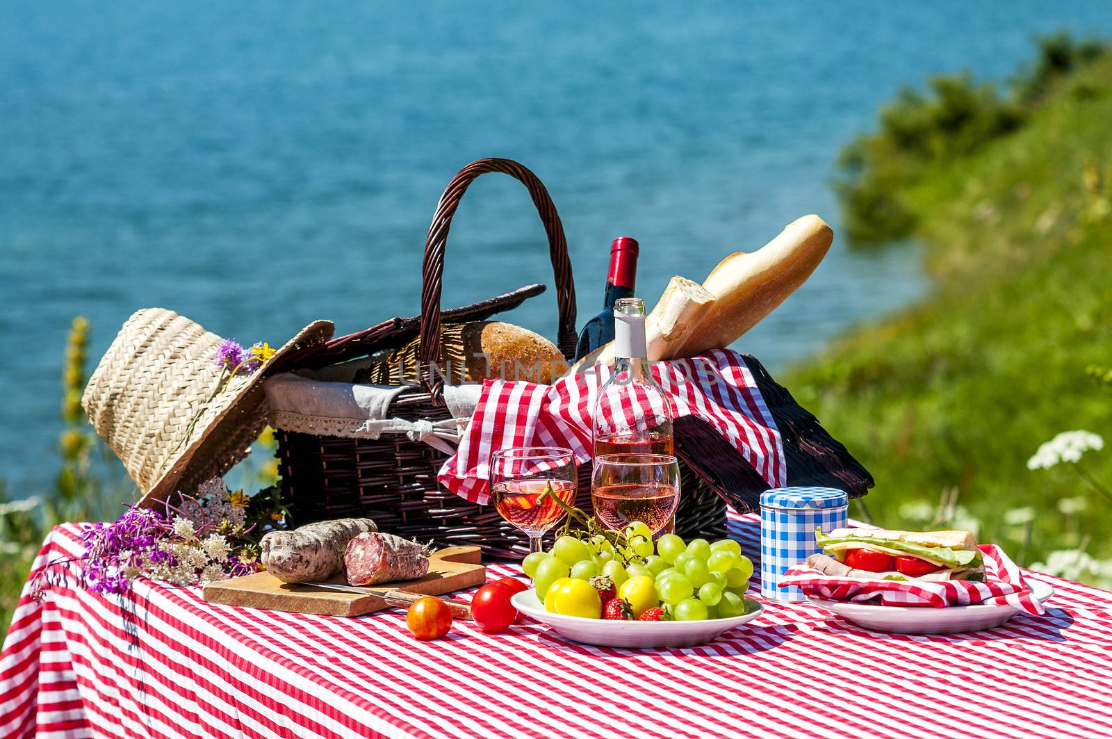 tasted picnic on the grass near a lake
