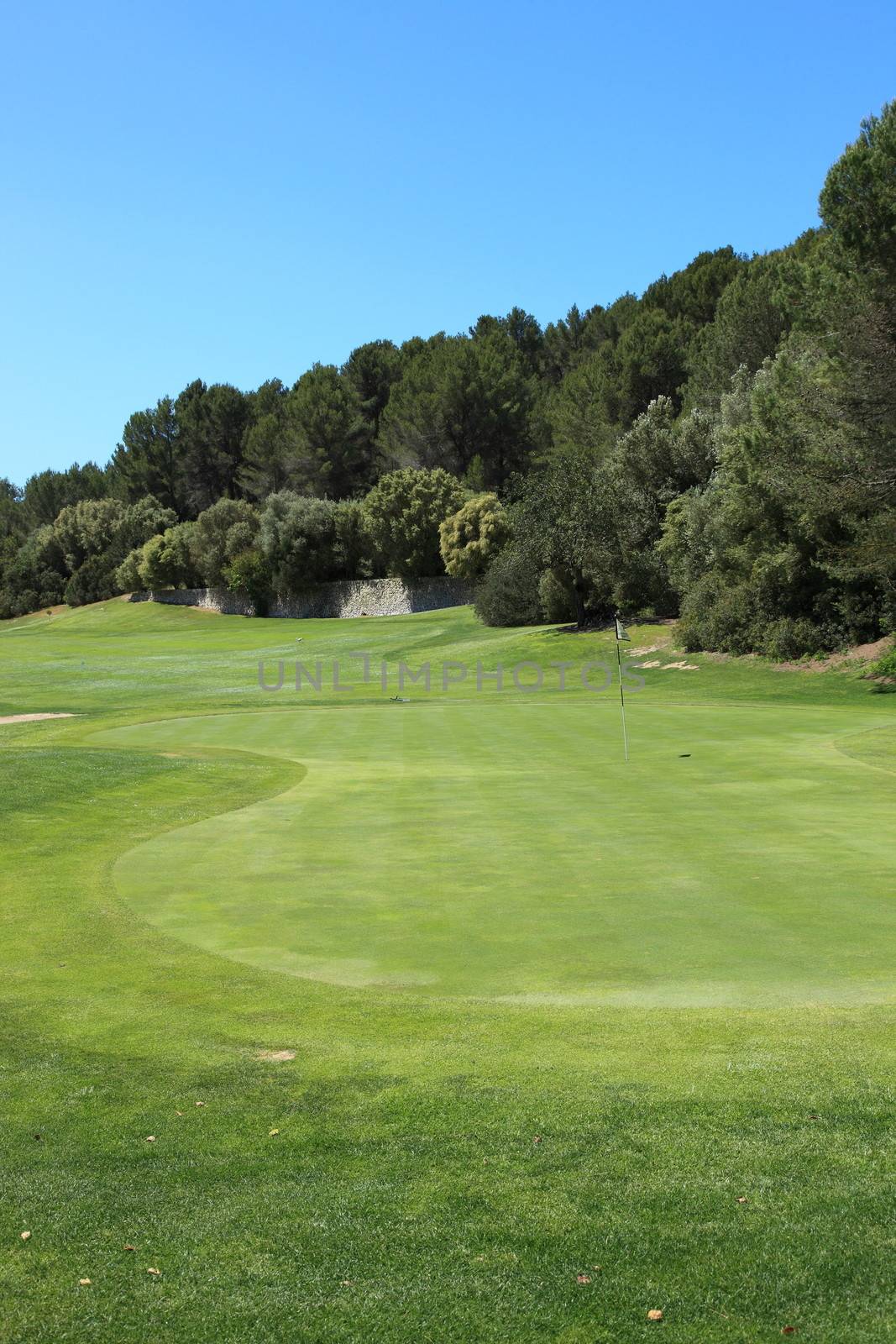 Beautiful green fairways on a golf course by Farina6000