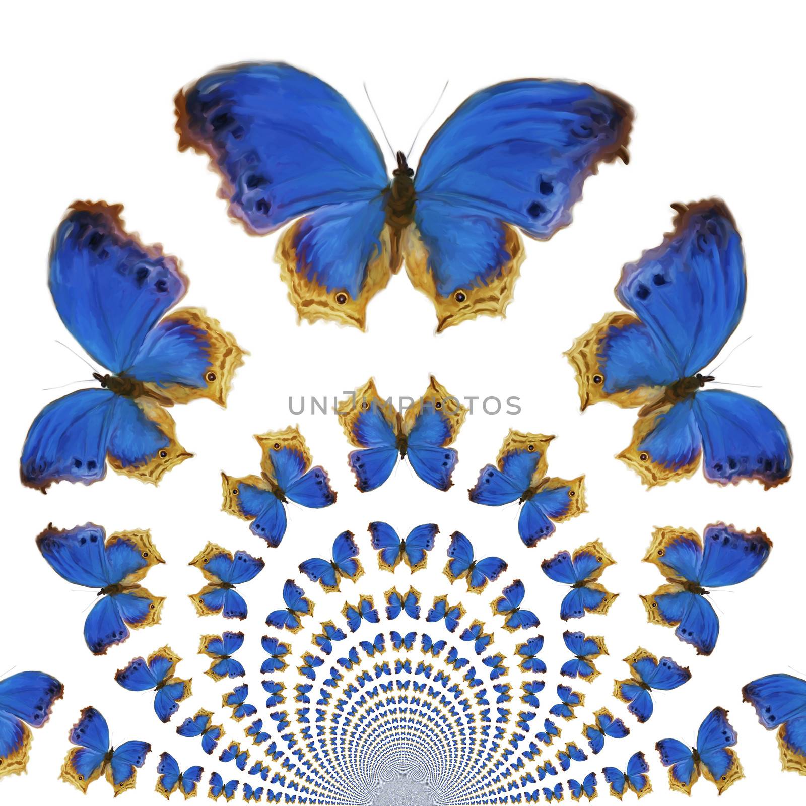 Kaleidoscopic Butterflies by 3quarks