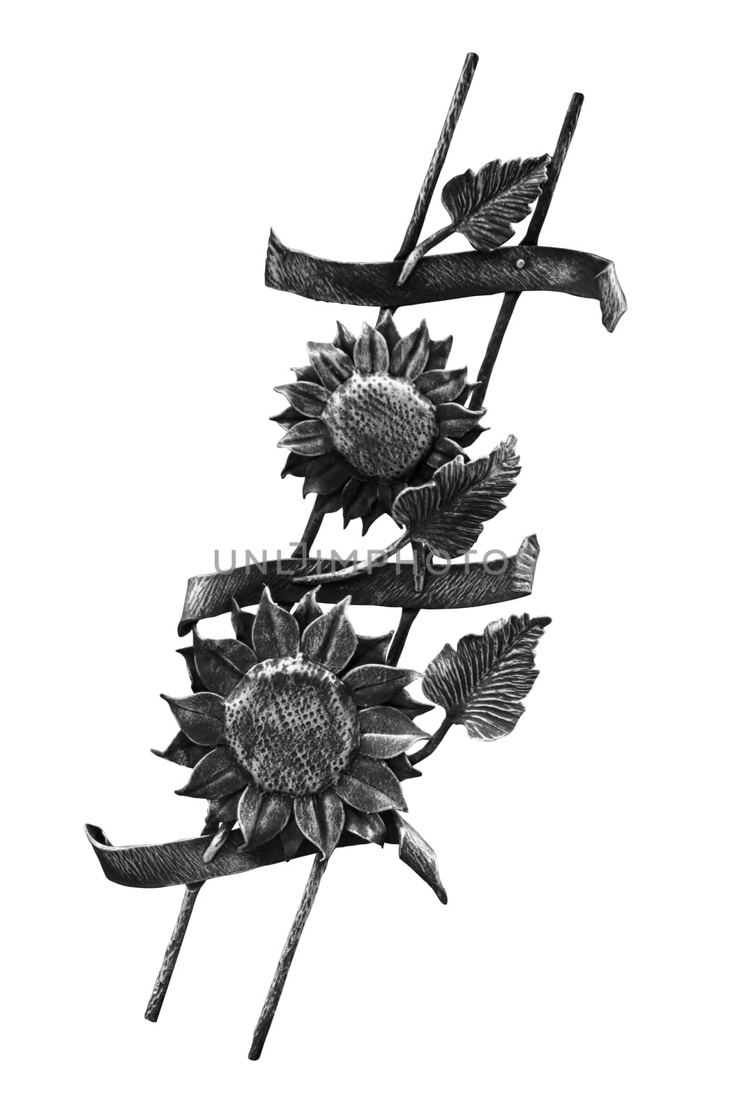 The forged steel wall composition of sunflower, leaves and scrolls isolated on white background