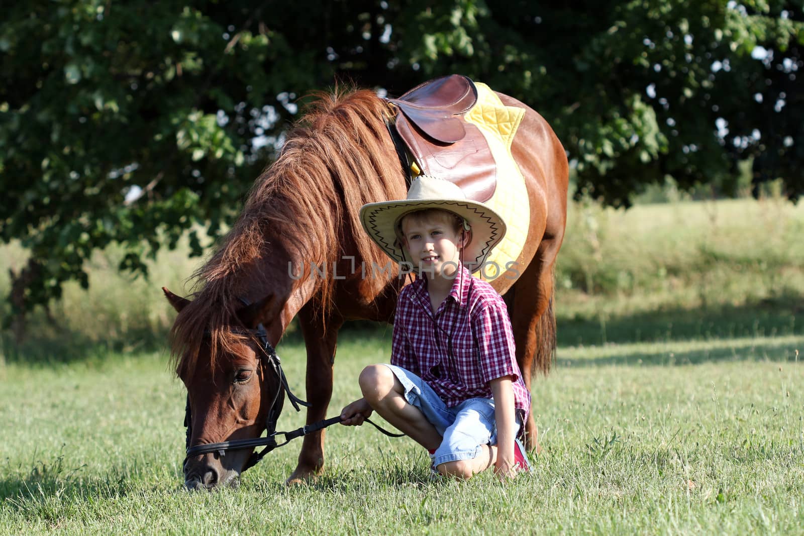 happy boy with pony horse pet 