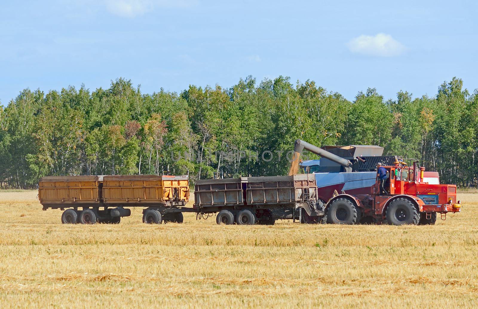 tractor in  field by zhannaprokopeva
