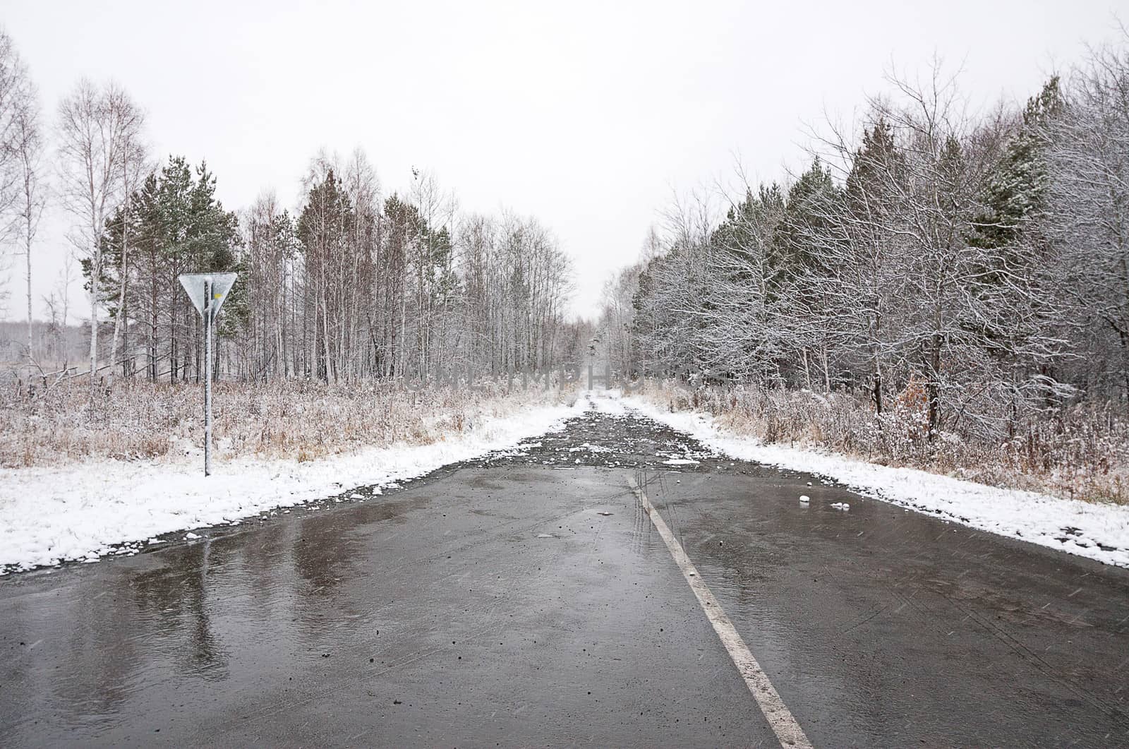 winter road by zhannaprokopeva