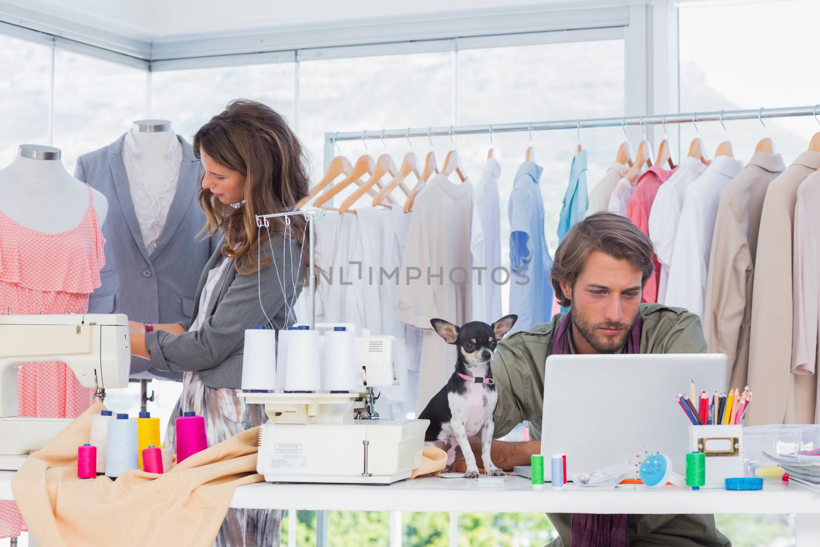 Fashion designers at work with a puppy on the desk by Wavebreakmedia