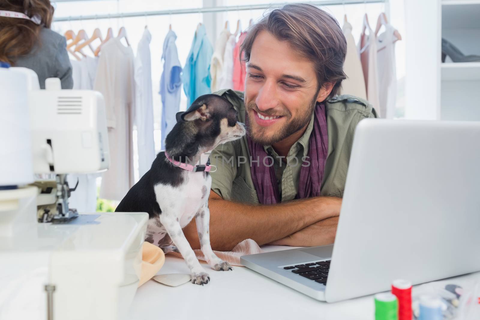 Cute chihuahua sitting on desk by Wavebreakmedia