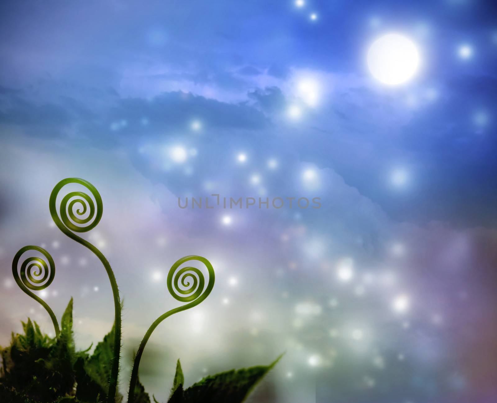 Three plant tendrils on night fantasy background
