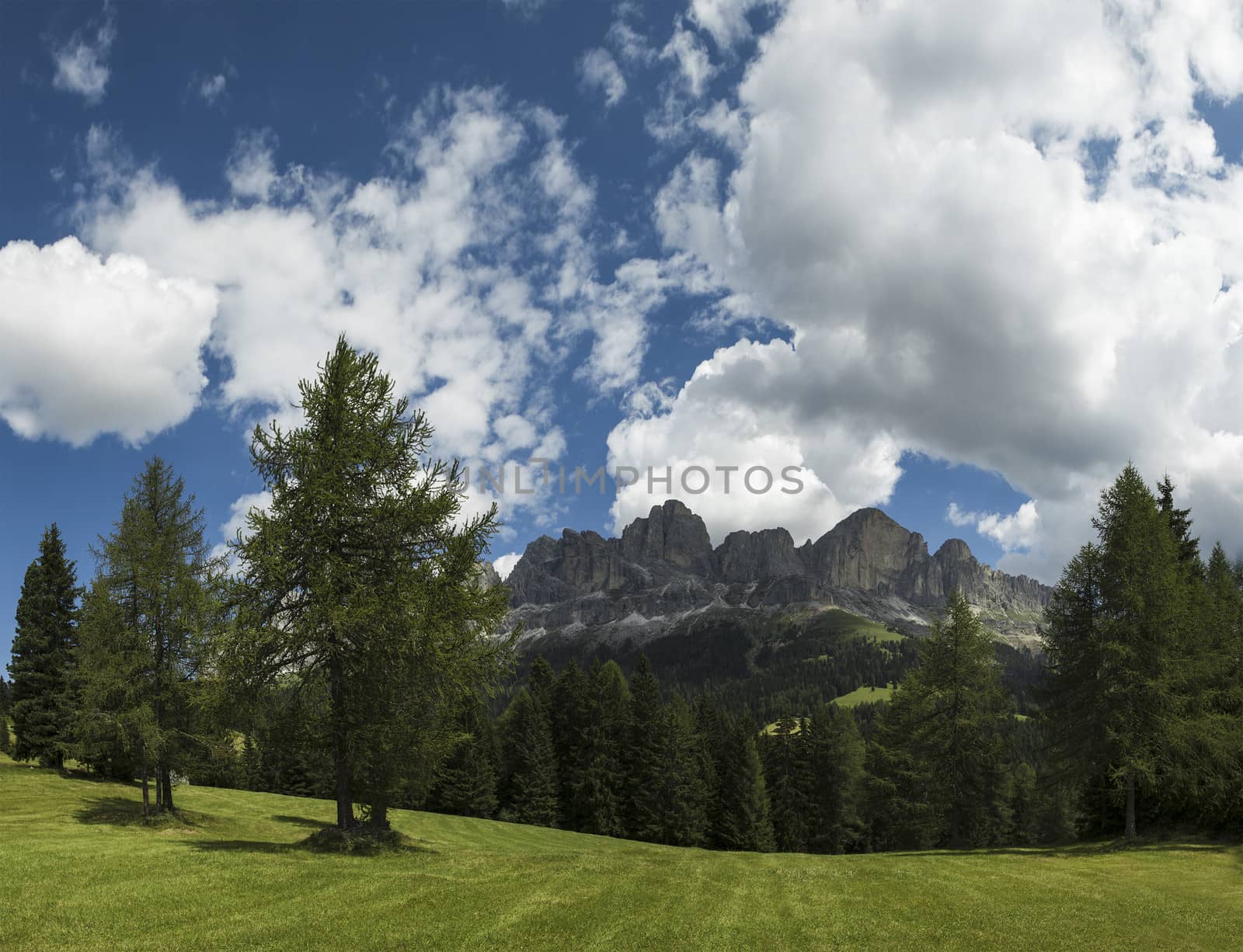 Dolomiti, Catinaccio panorama from Colbleggio meadow - Karersee, Italy