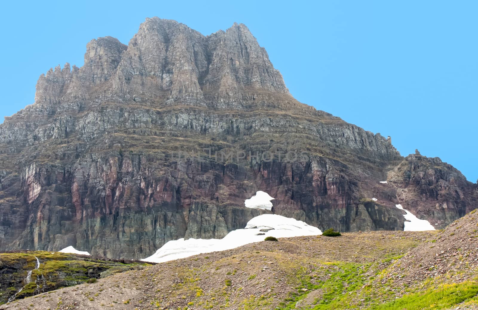 At the Top of Logan's Pass by picturyay