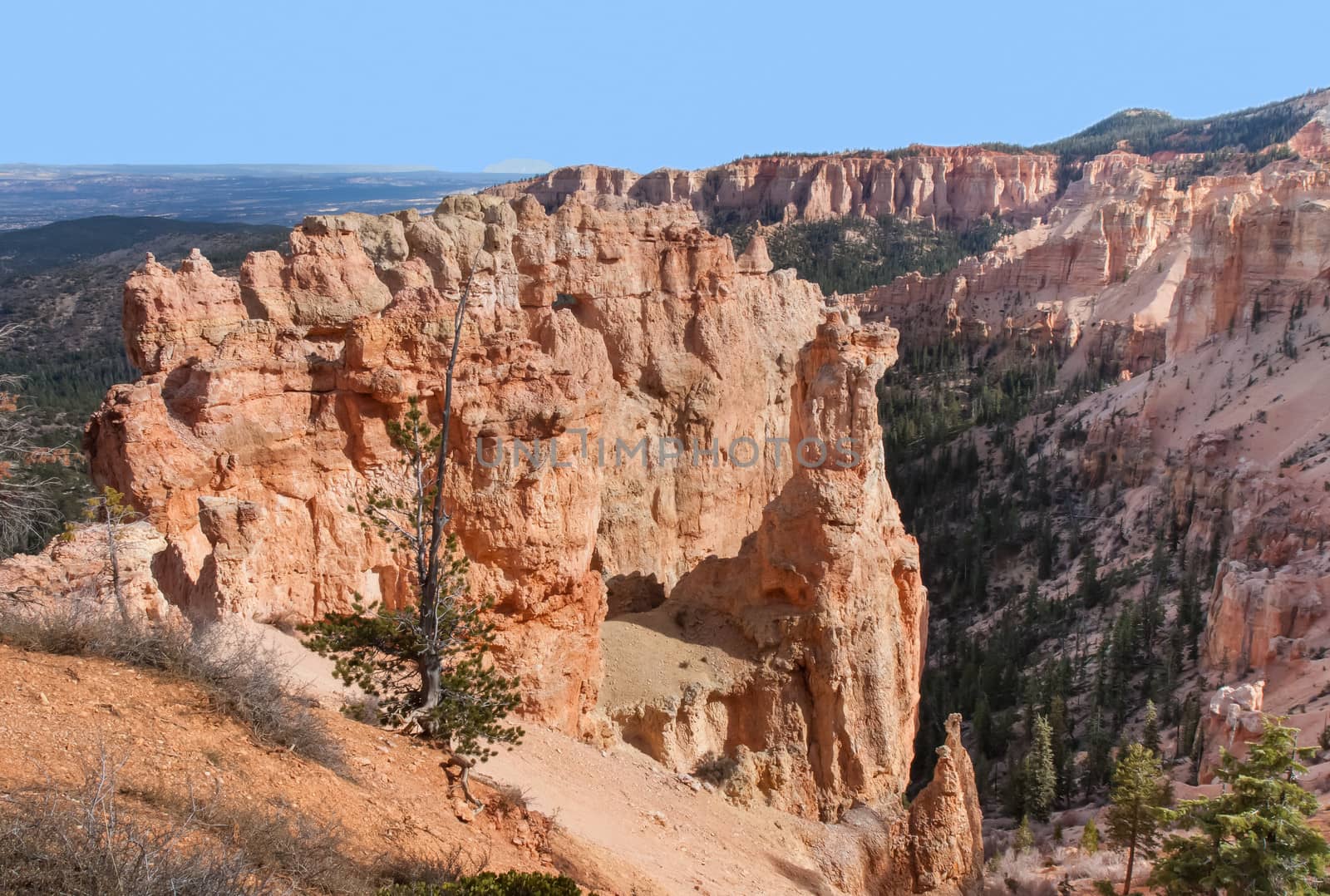 Overlooking Black Birch Canyon in Bryce National Park is this formation that looks like a castle turret.