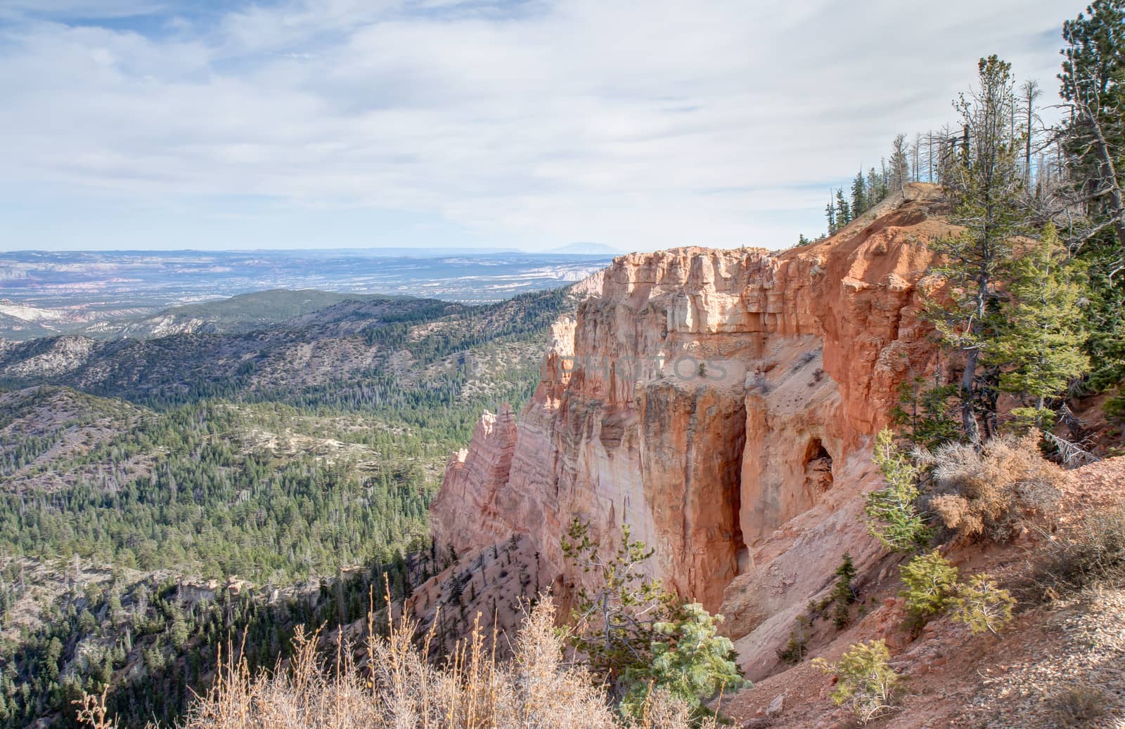 Bryce Canyon National Park consists of a series of horseshoe-shaped amphitheaters carved from the eastern edge of the Paunsaugunt Plateau. This particular location is Black Birch Canyon.