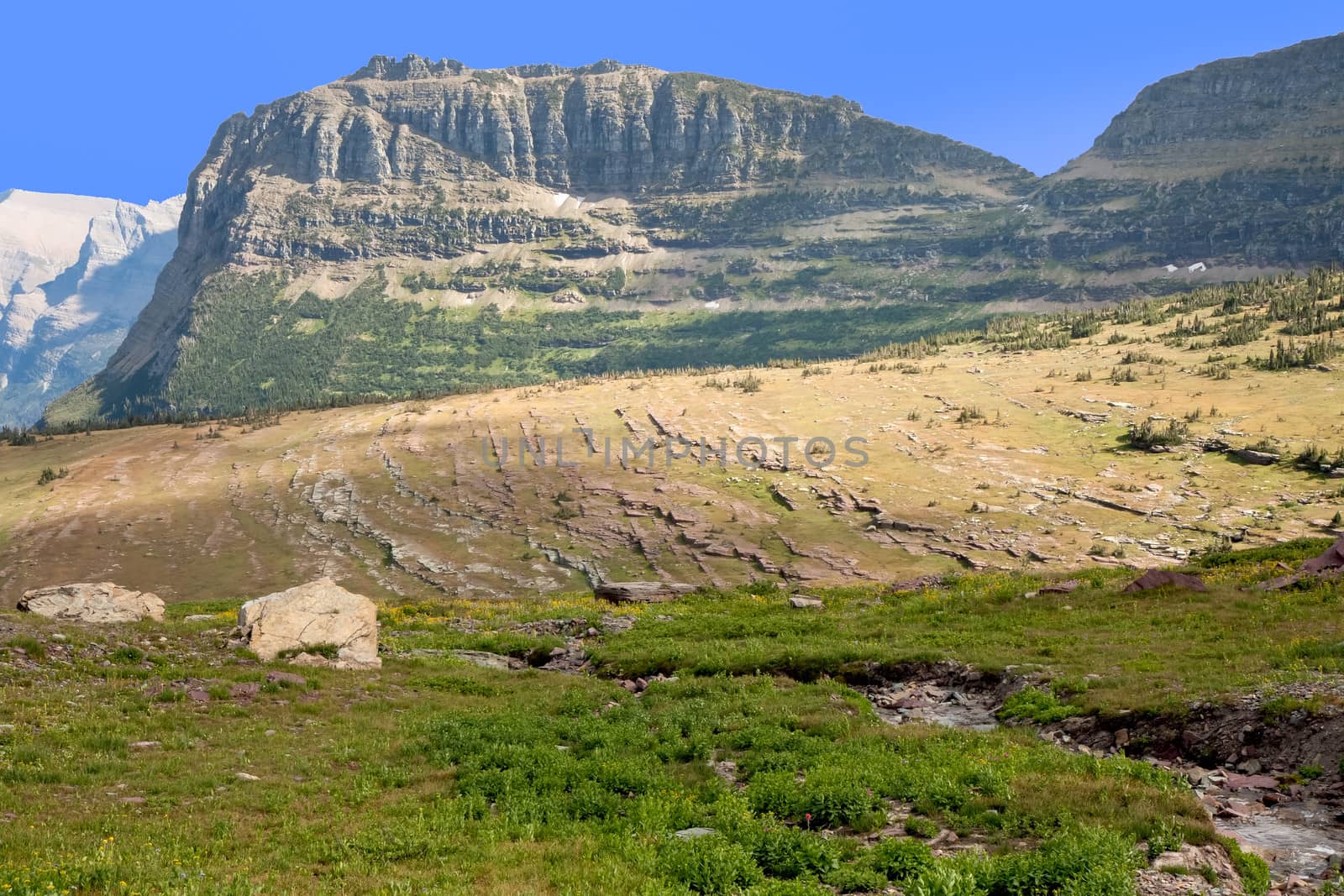 Looking down from  the Logan's Pass trail area there are rock formations that look like old building foundations.