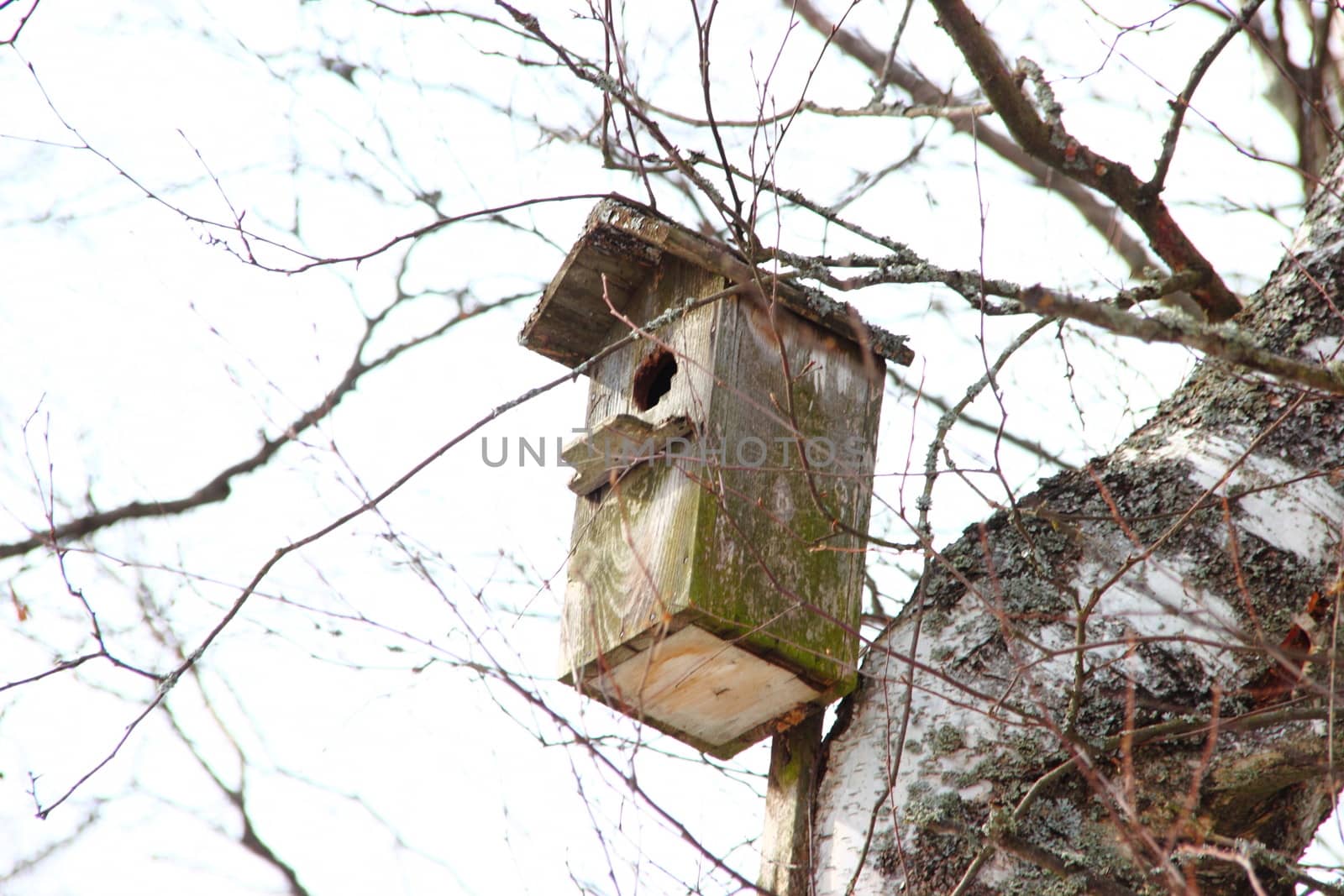 nesting box by Metanna