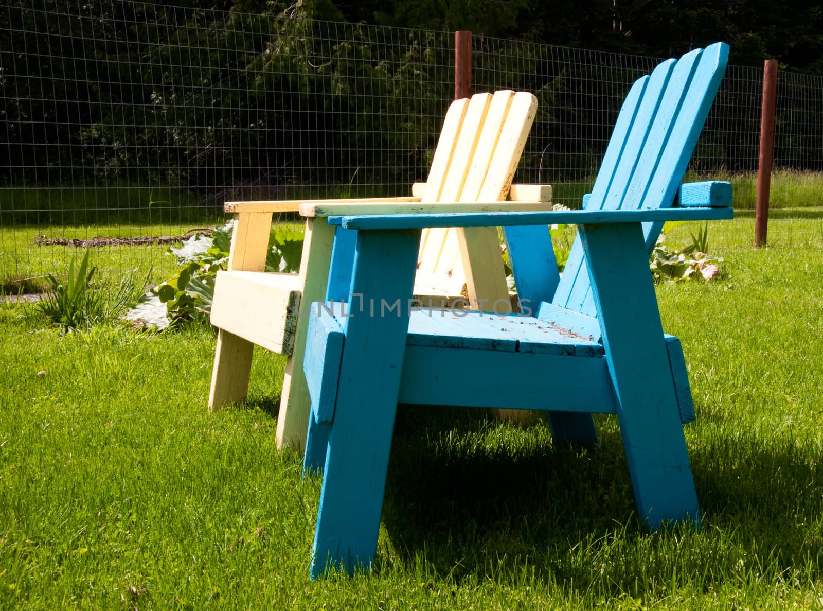 Sunlit lawn chairs