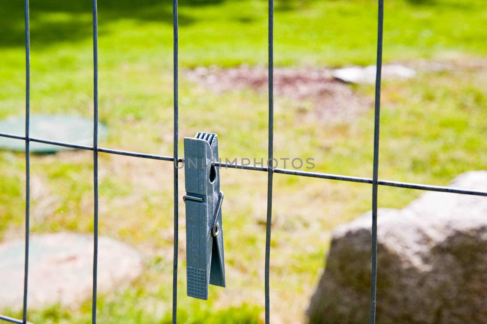 Clothespin on a fence in a yard