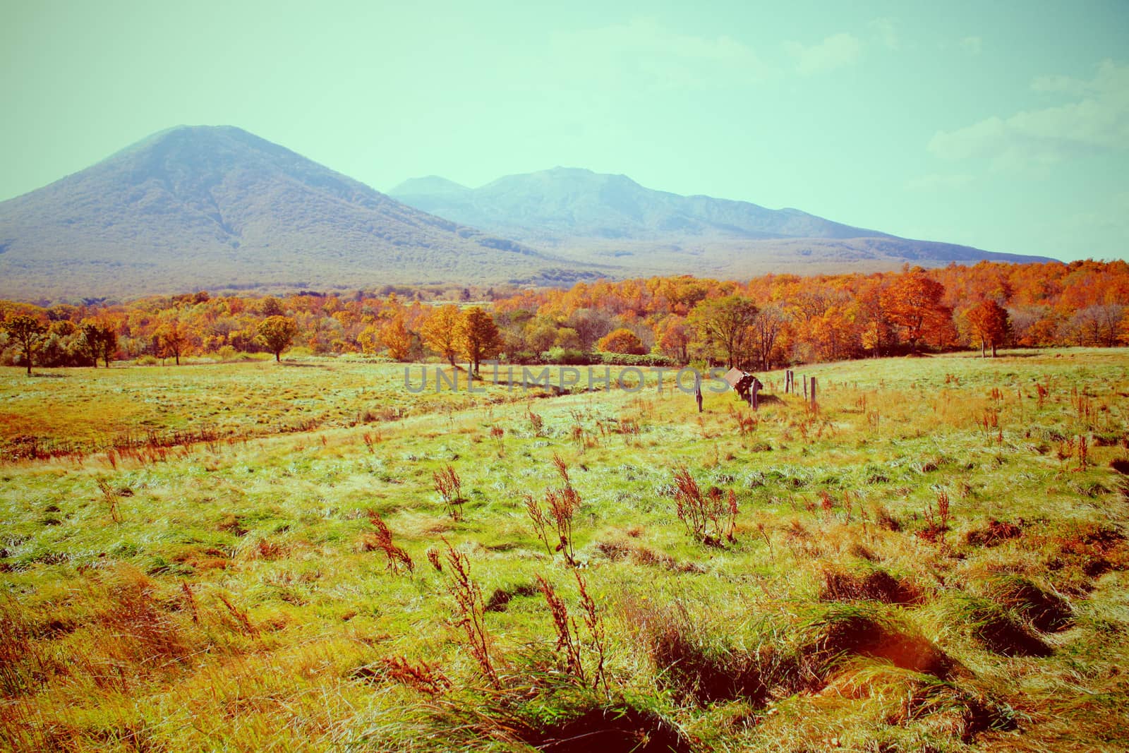 Welcome to autumn season with retro filter effect by nuchylee