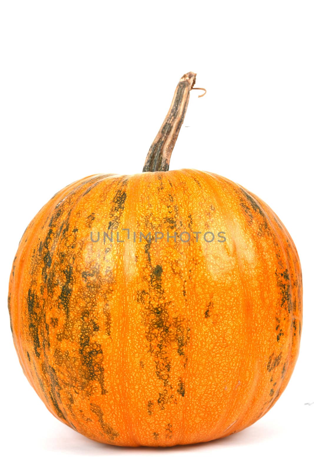 Fresh orange pumpkin isolated on white background