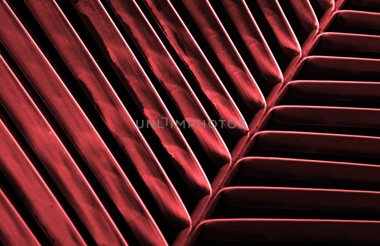 abstract background of red leaf on black
