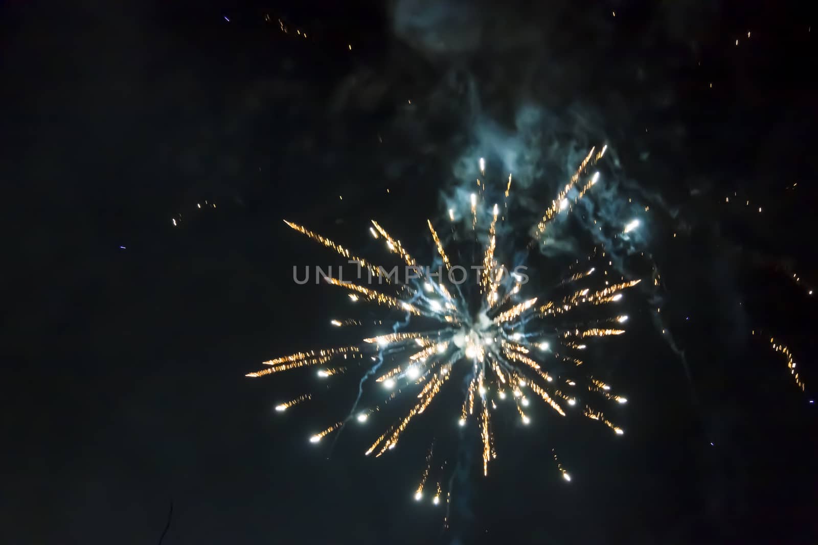 Beautiful fireworks on the black sky background