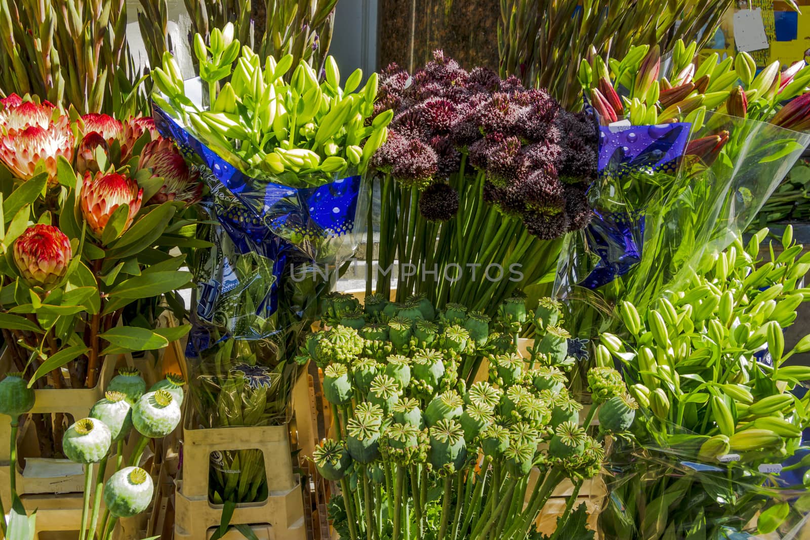 Flower market, poppy seed pods by Tetyana