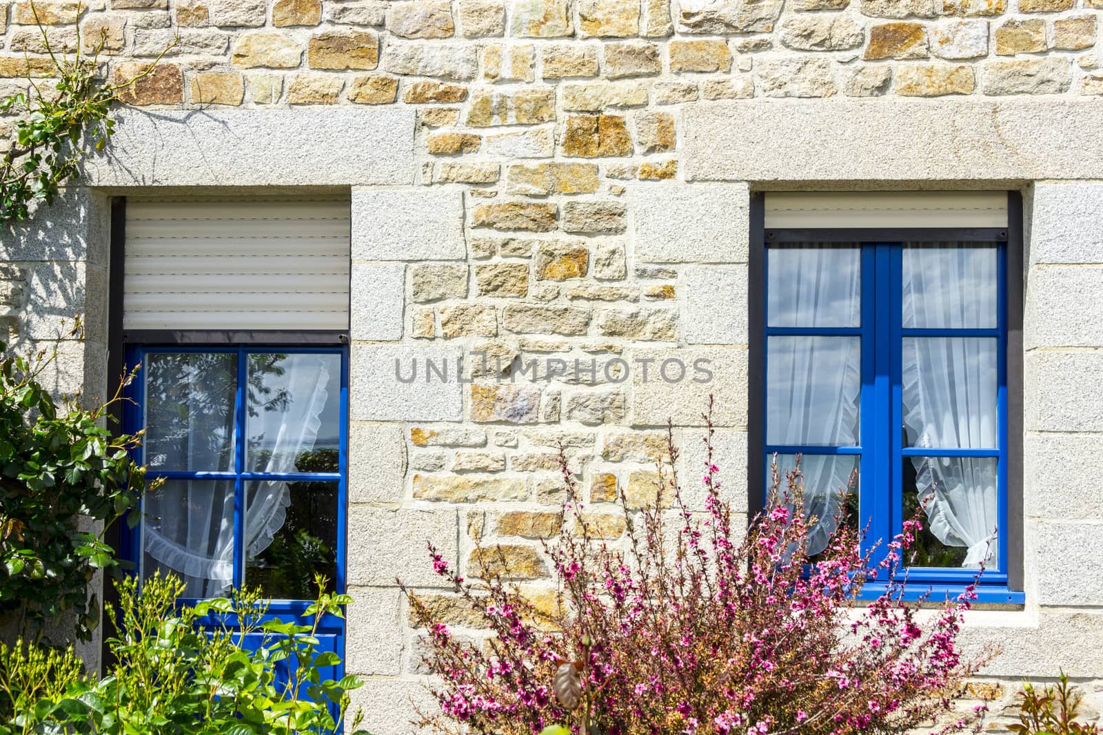 french style Window and Door with flower bush