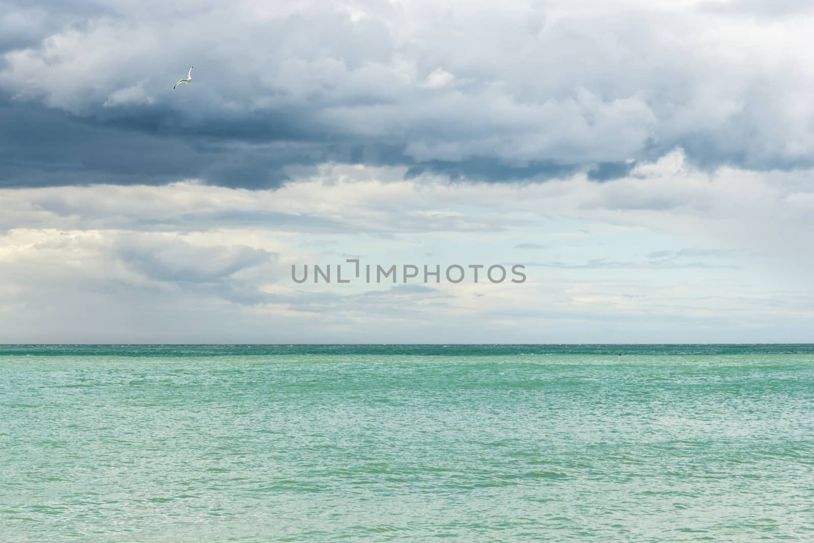 Soaring seagull in the thunderous sky over blue sea