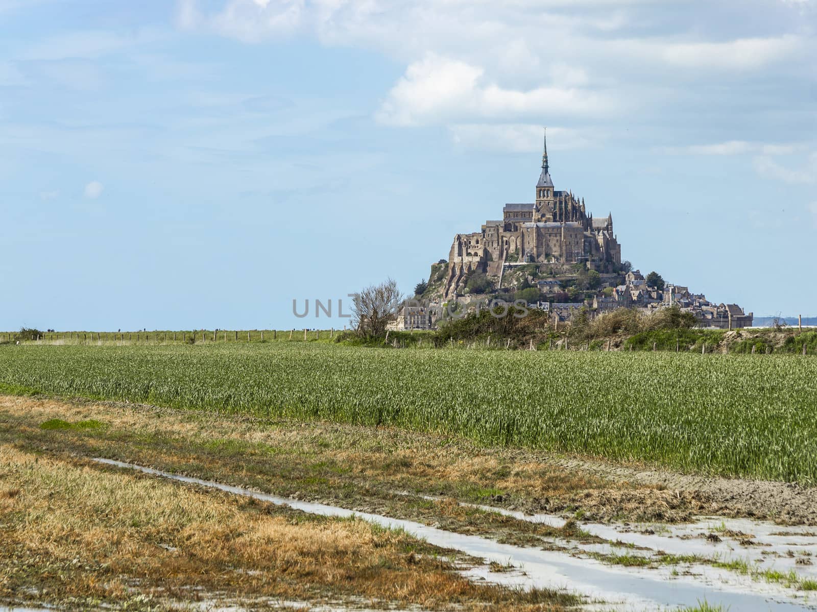 Mont Saint Michel Abbey, Normandy / Brittany, France by Tetyana