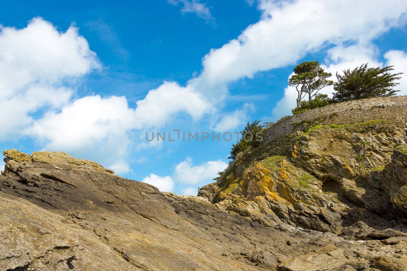 Landscape with a pine trees on a cliff