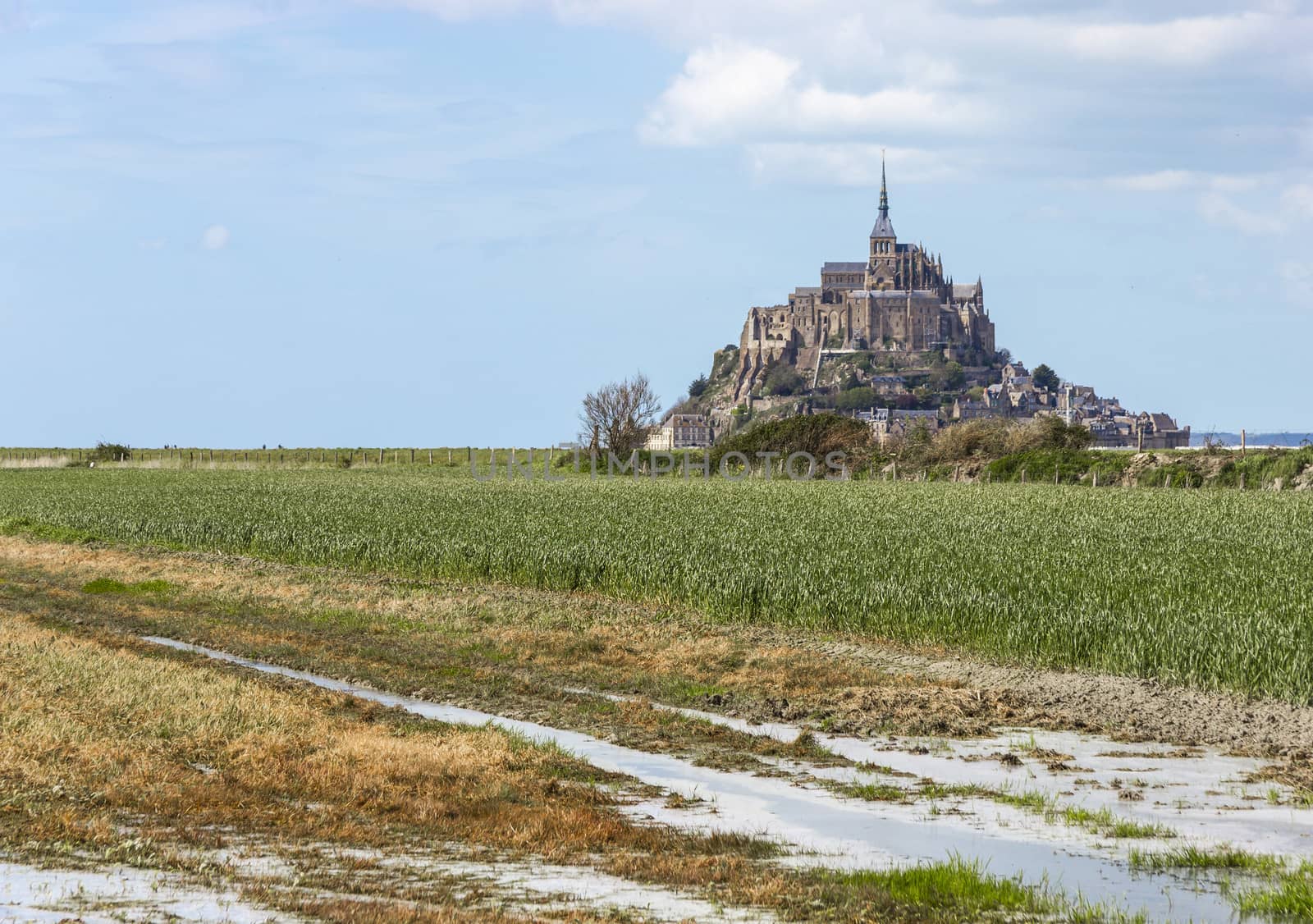 Mont Saint Michel Abbey, Normandy / Brittany, France by Tetyana