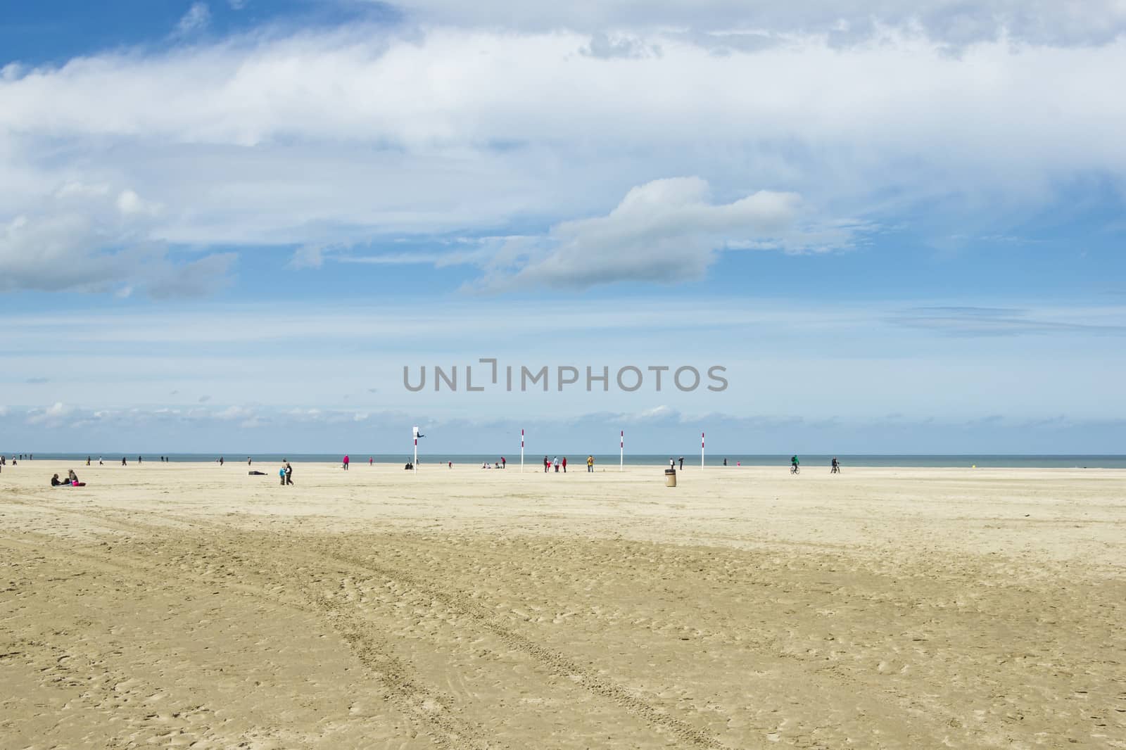 Northern France seashore in spring by Tetyana