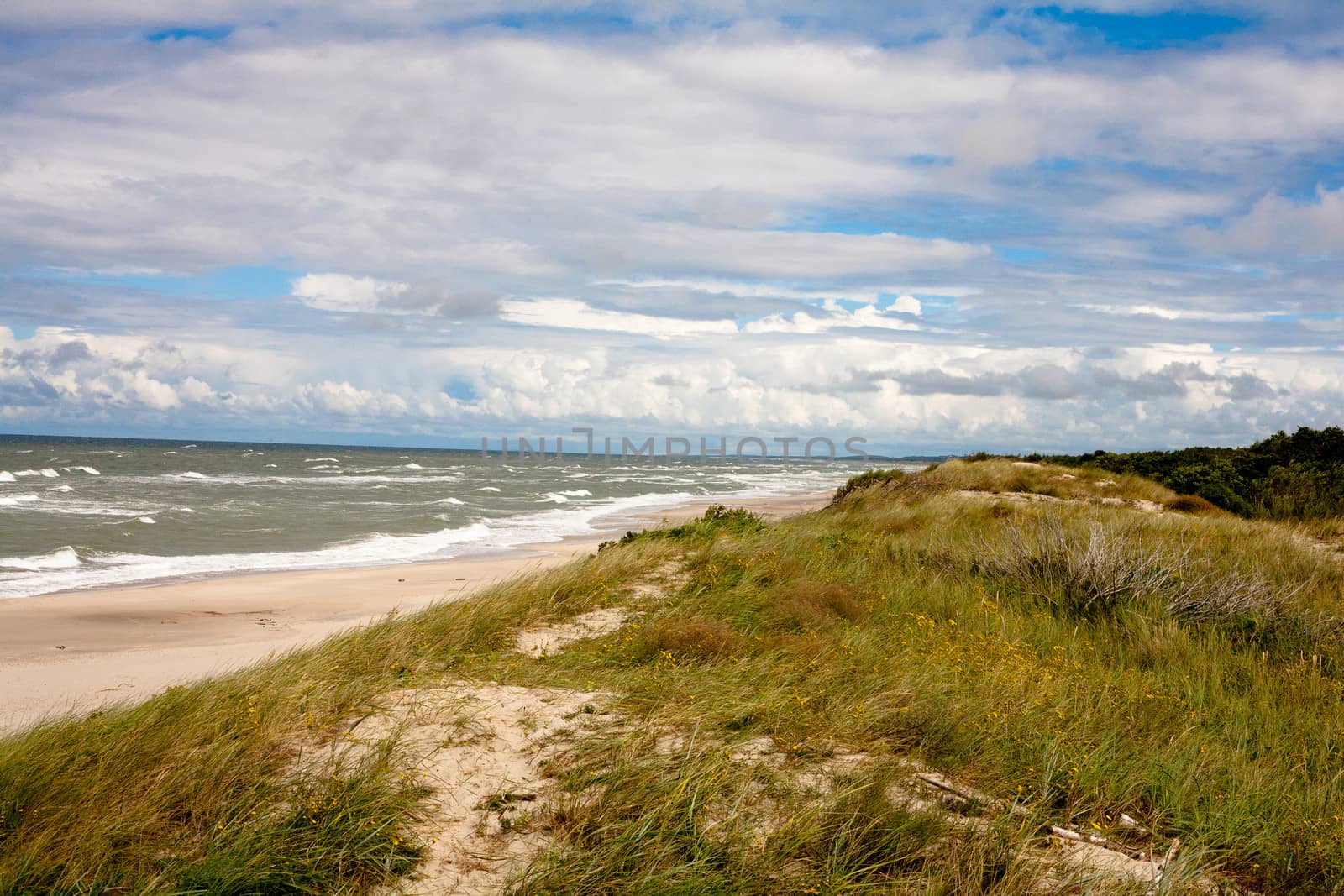 Baltic sea near Curonian Spit
