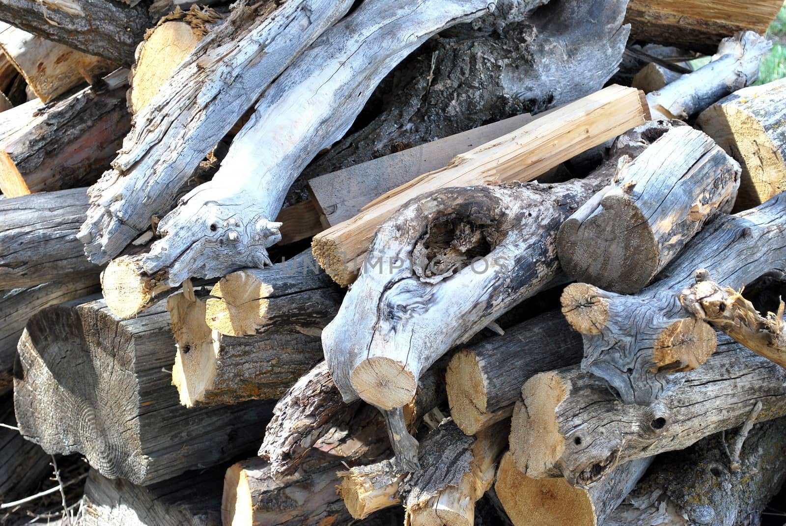 Firewood. by oscarcwilliams