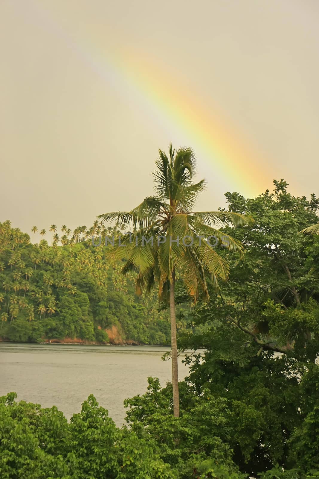 Rainbow over hills of Samana by donya_nedomam