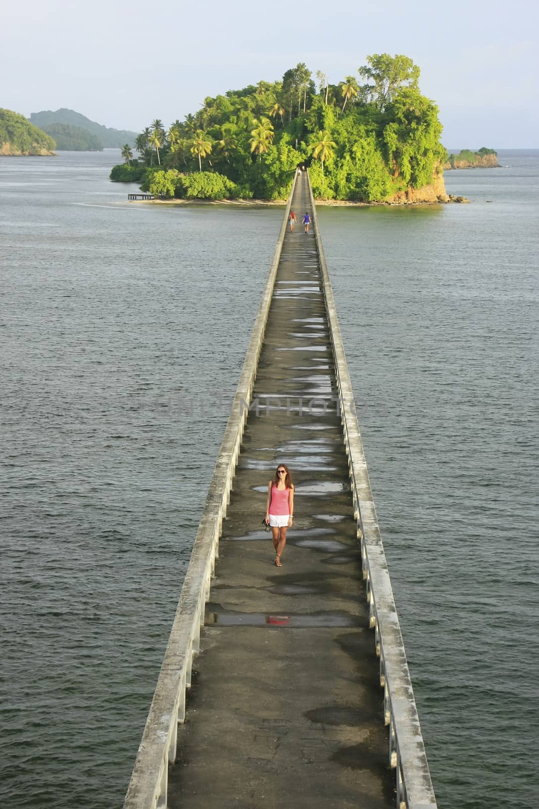 Bridge to Nowhere, Samana Bay by donya_nedomam