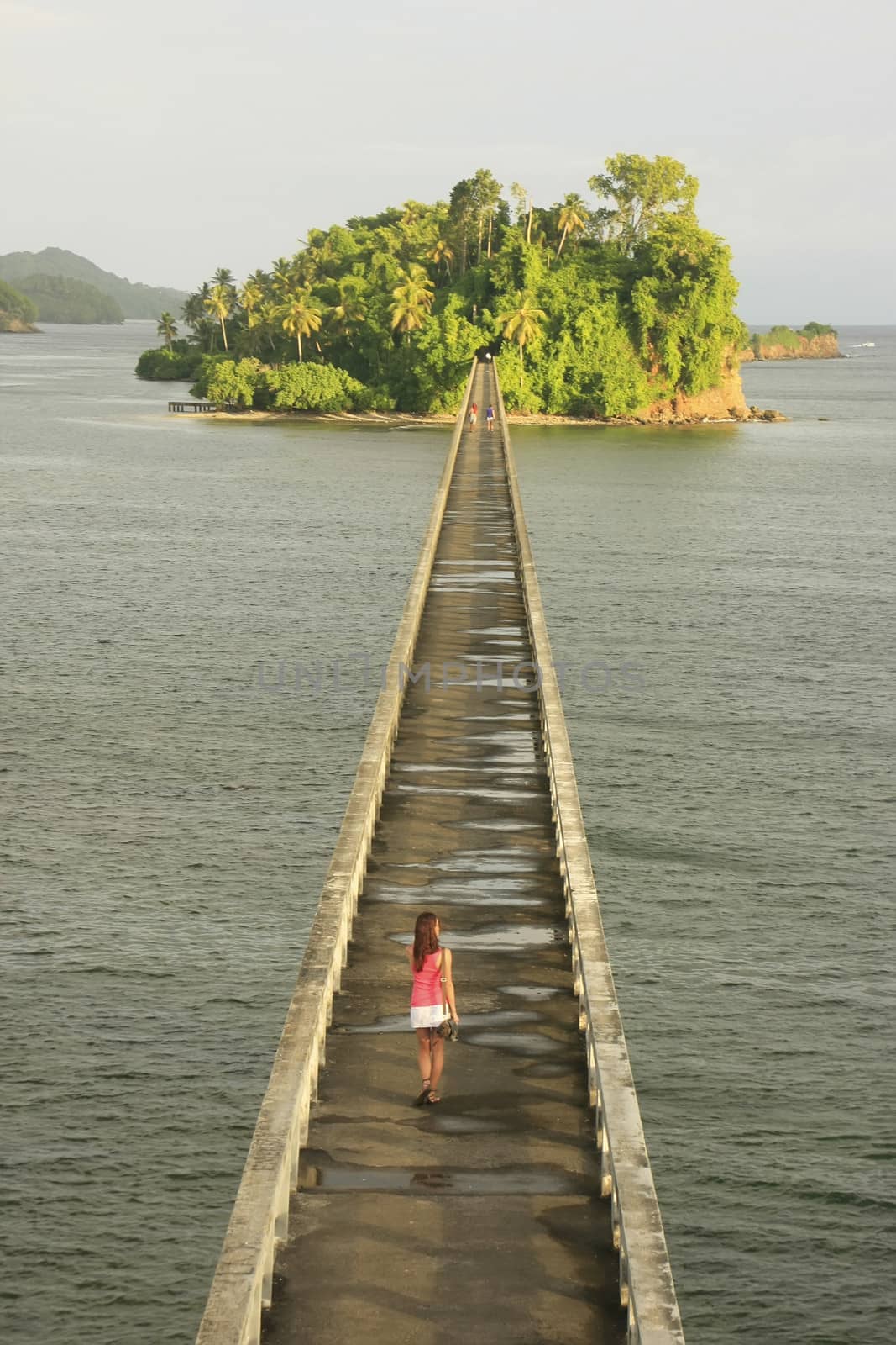 Bridge to Nowhere, Samana Bay, Dominican Republic