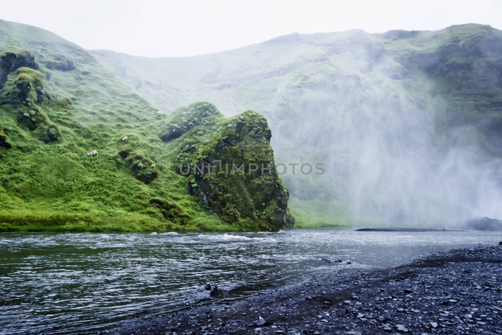 Skoga river near Skogafoss waterfall in Iceland, summer