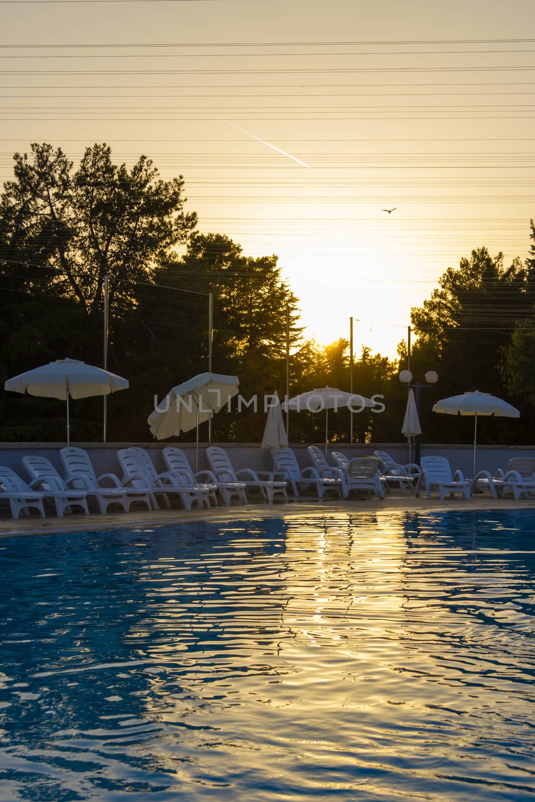 Swimming pool in the rays of the setting sun