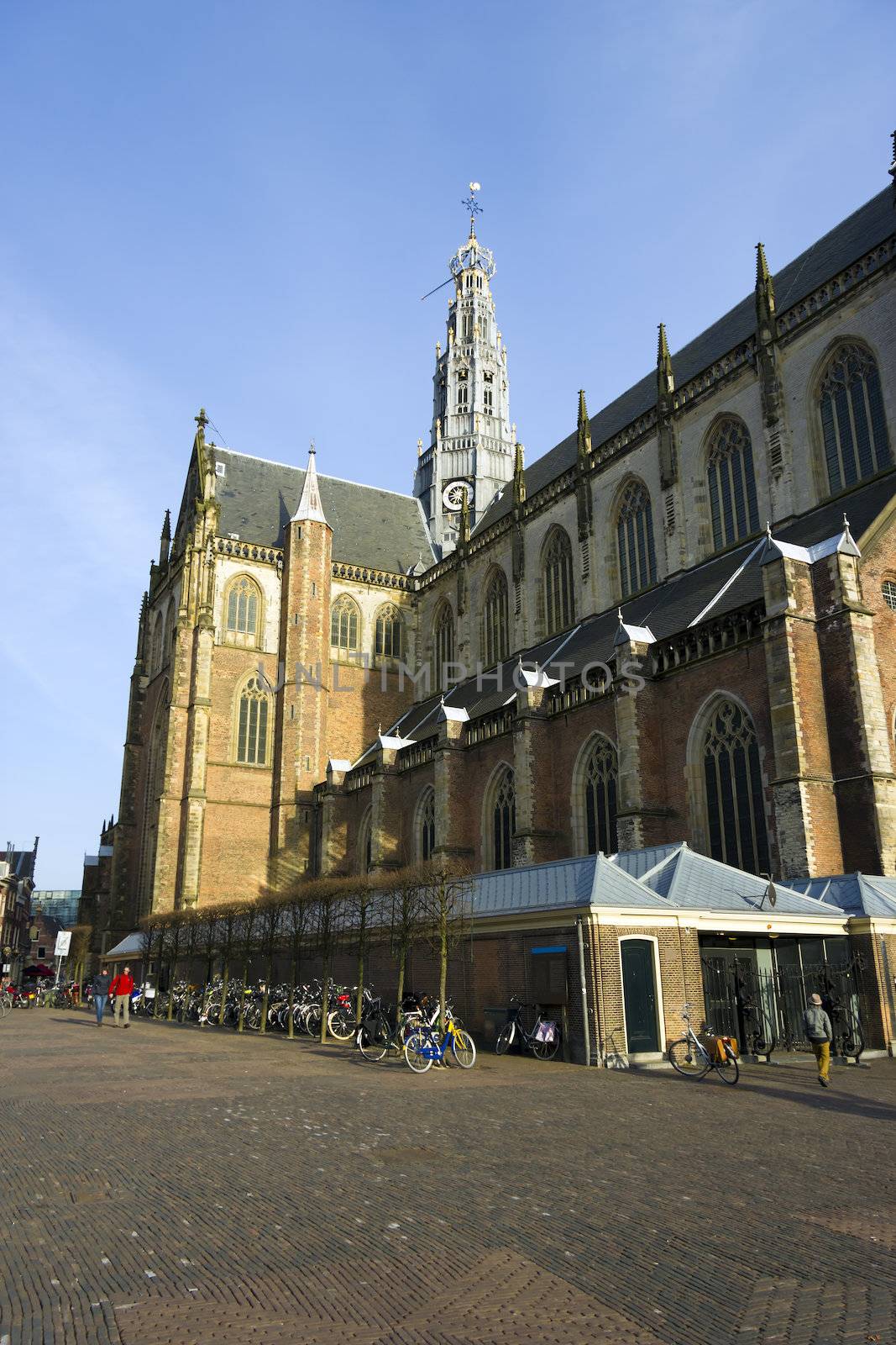 St bavo church or "grote kerk" Haarlem, Netherlands by Tetyana