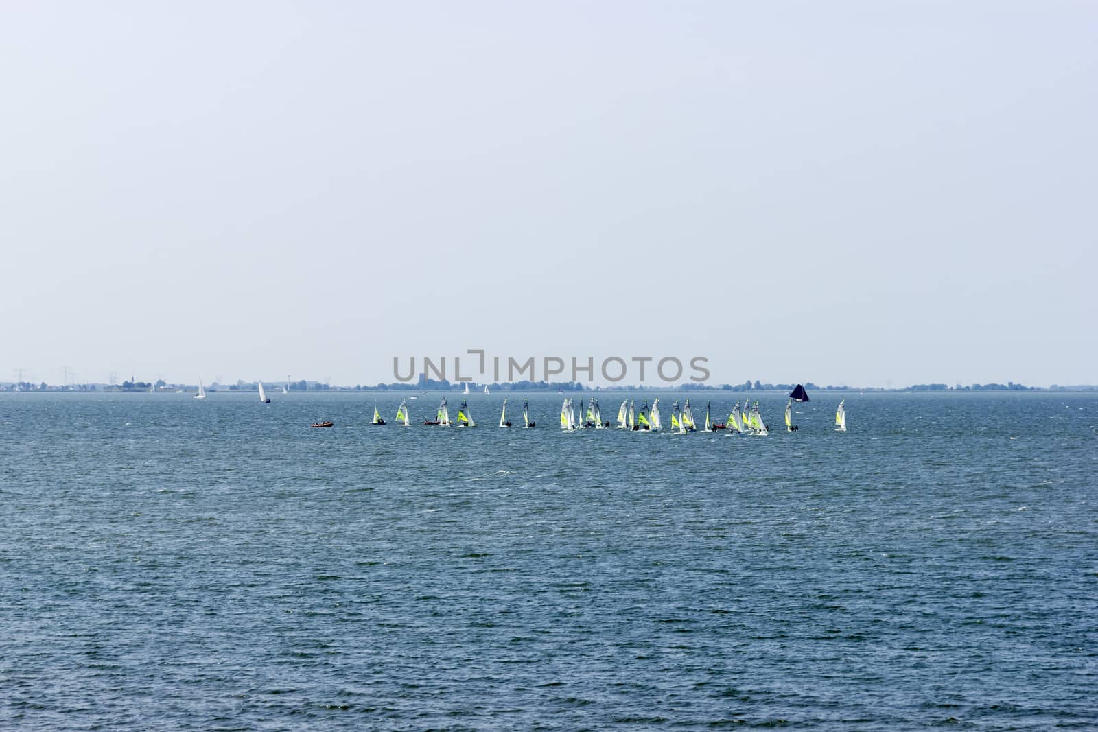 Many windsurfers on Zuiderzee bay, the Netherlands