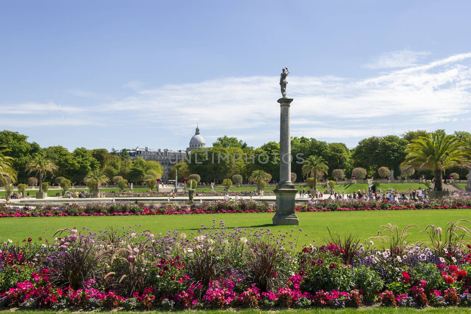 Luxembourg gardens, Paris, France by Tetyana
