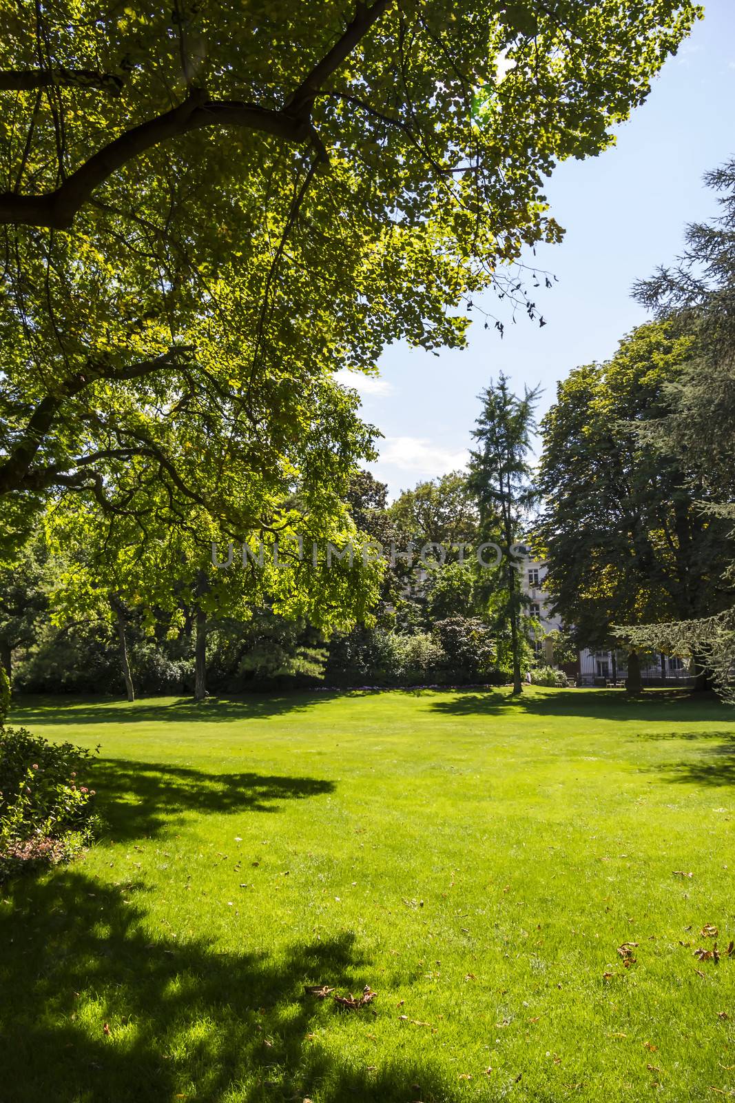 Luxembourg gardens, Paris, France by Tetyana