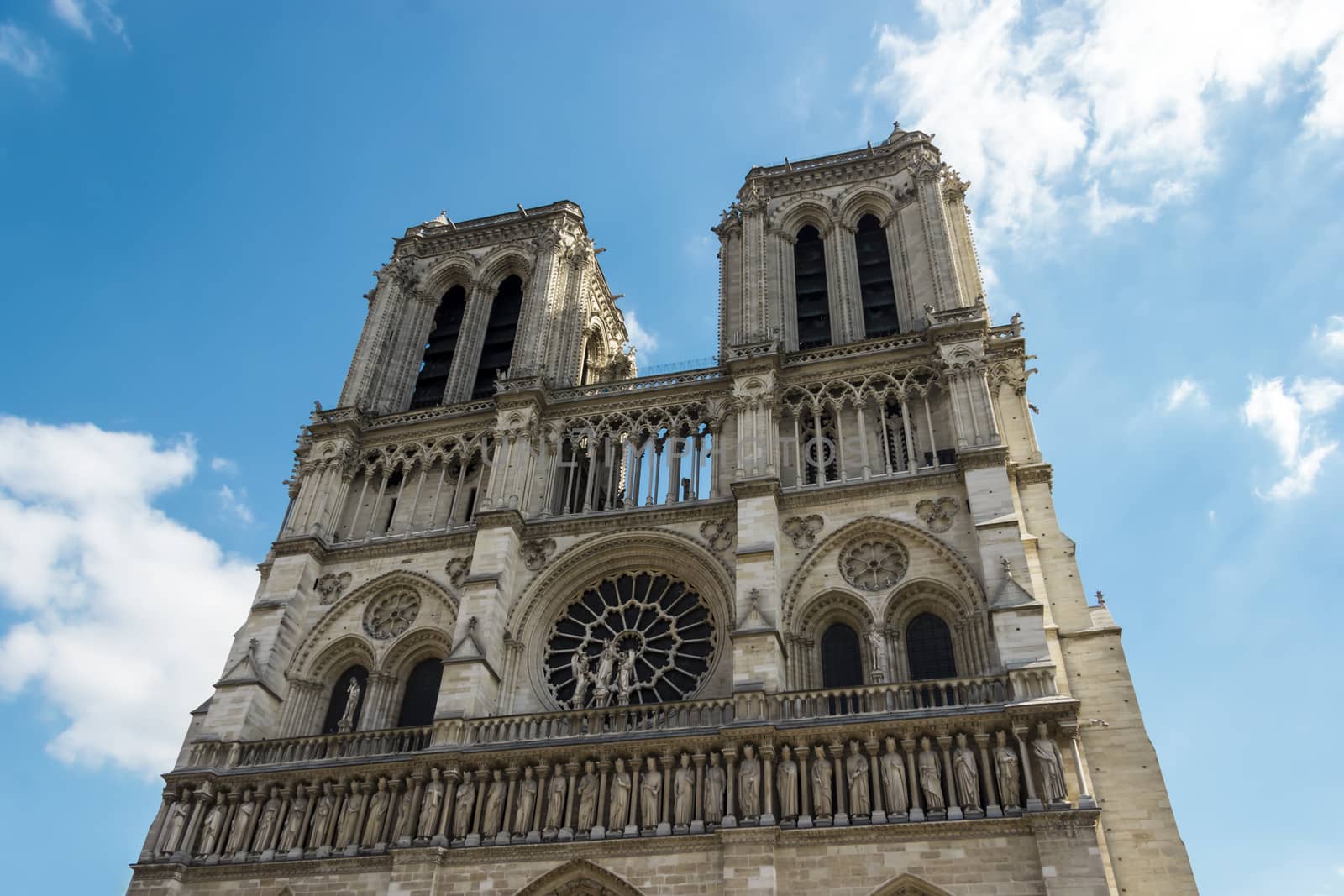 Notre Dame de Paris cathedral  by Tetyana