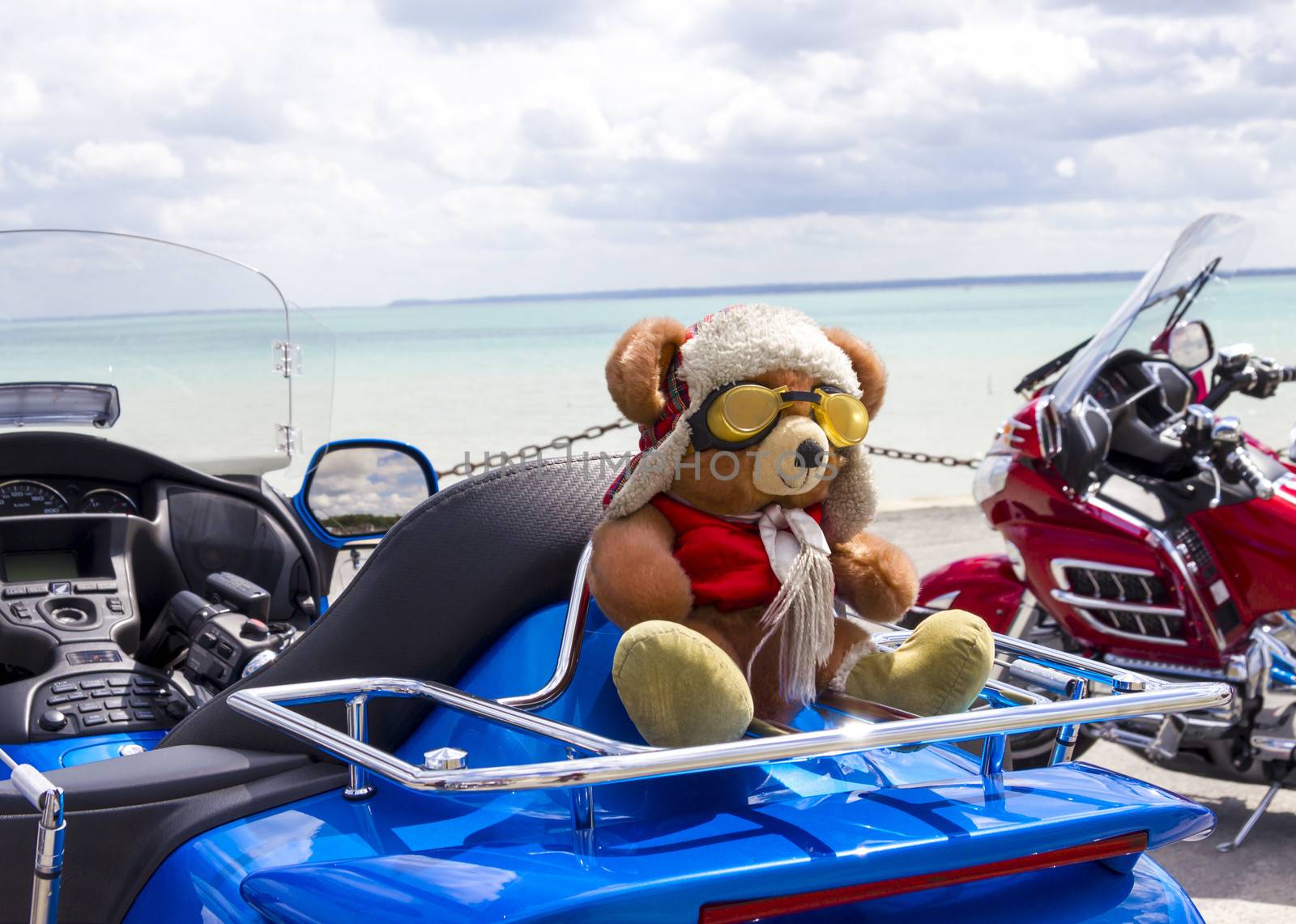 Teddy Bear toy on the blue motorbike on a seashore