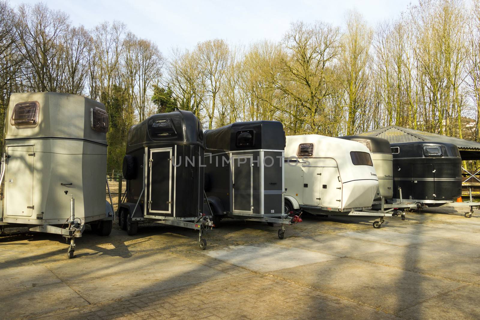 horse trailers  by Tetyana