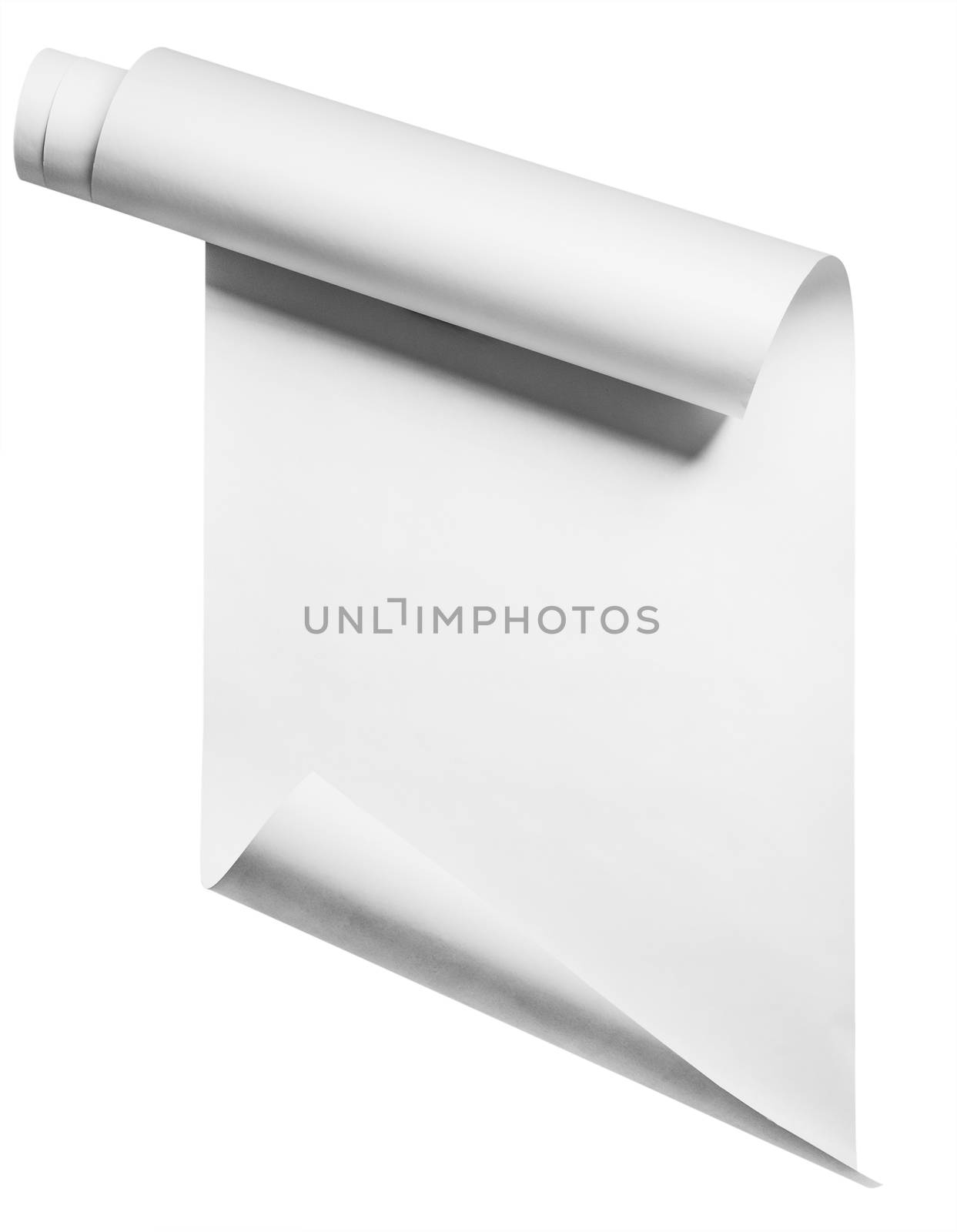 Paper roll on white, isolated with clipping path
