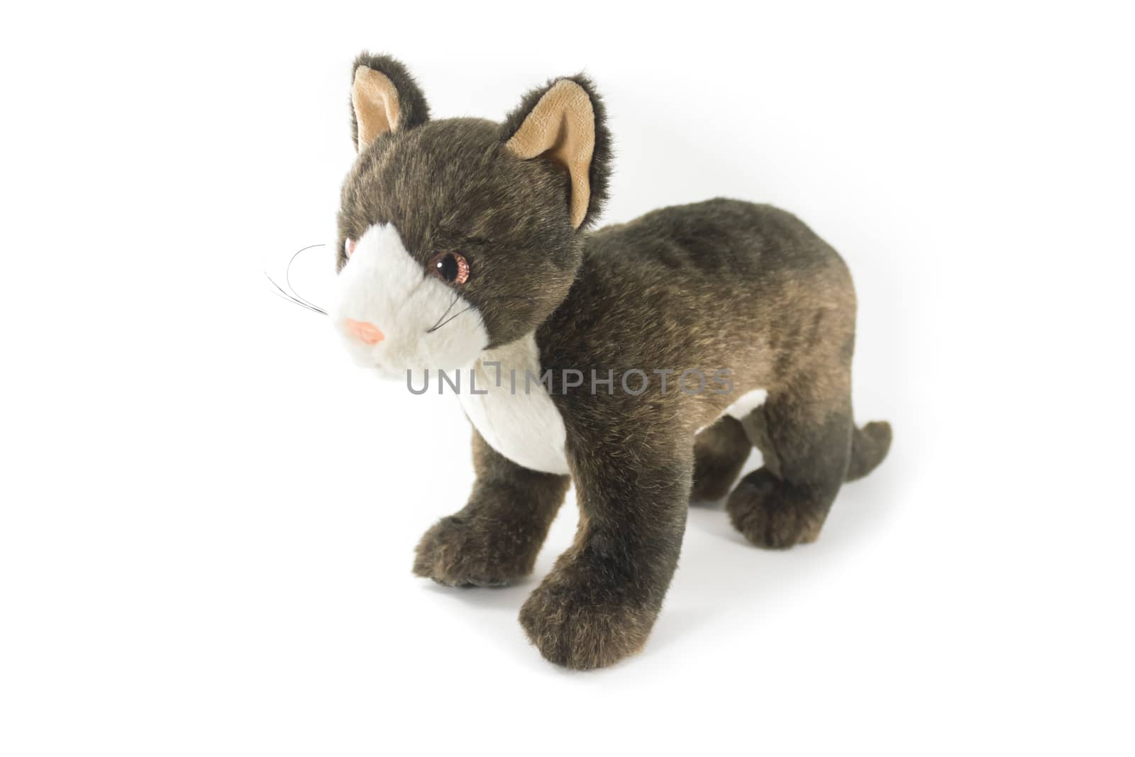 Soft cat doll isolated on white background