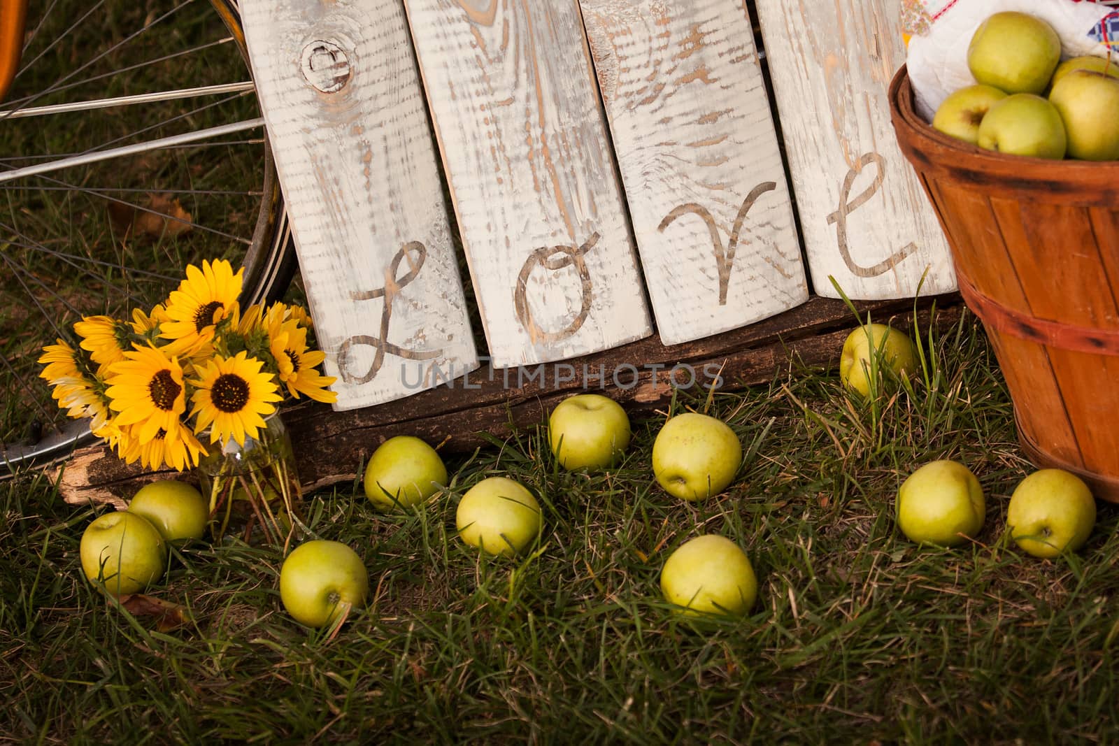 Rustic old wooden sign with the word "love" written on old wood. Apples and daffodils in foreground.