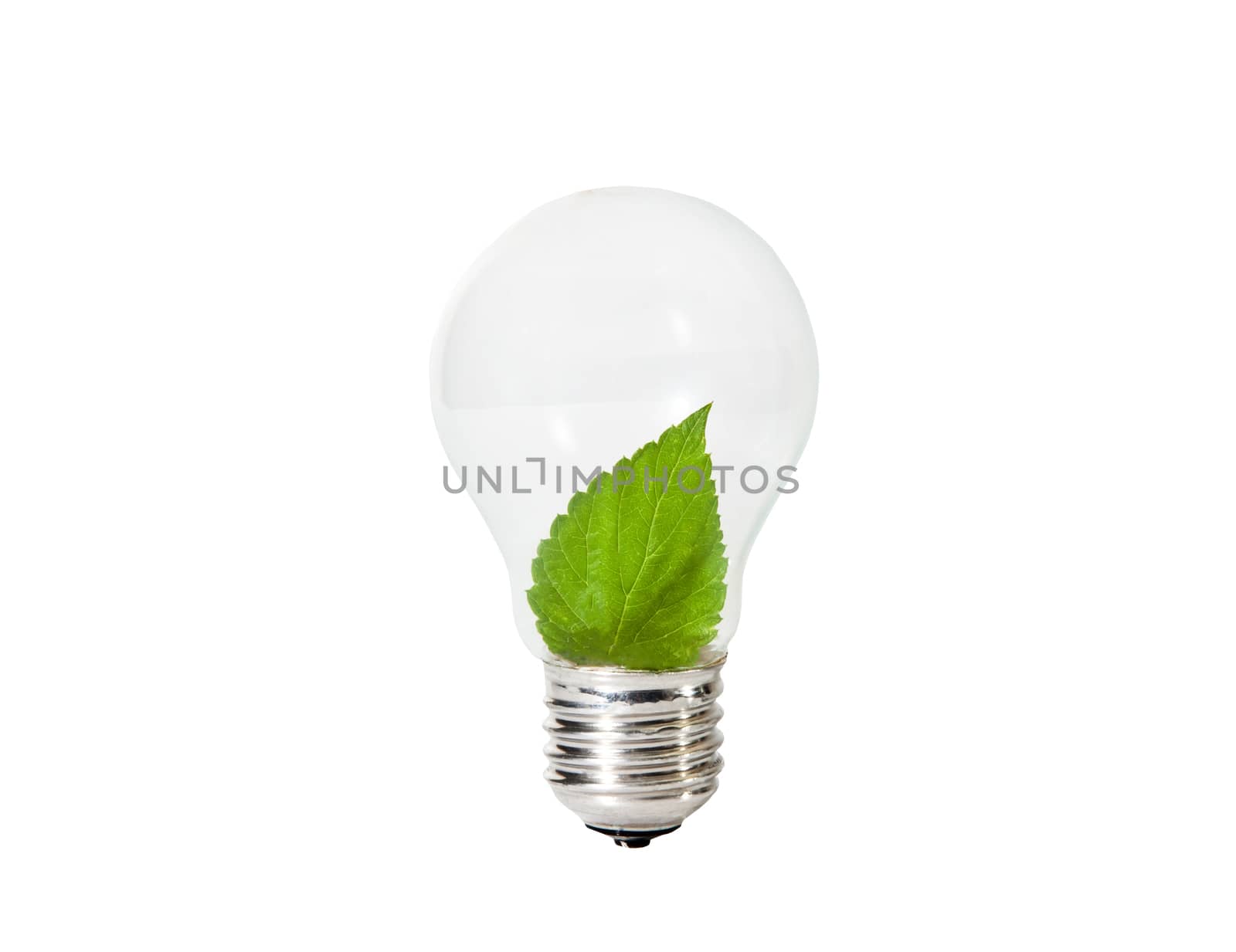 Light Bulb with green leaf inside  by RawGroup