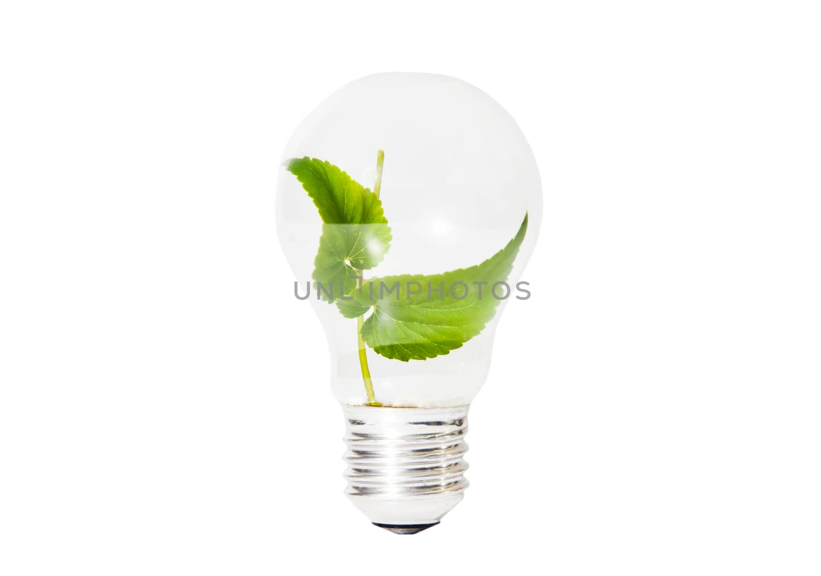 Light Bulb with green leaf inside isolated by RawGroup