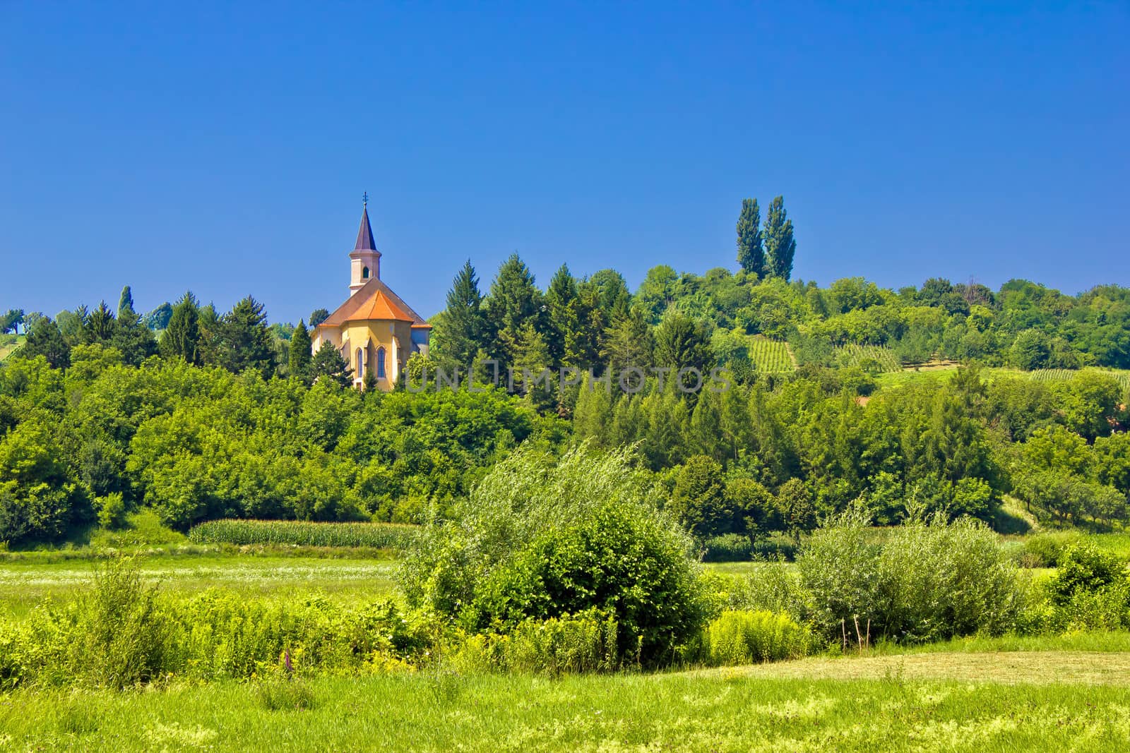 Catholic church on idyllic green hill in Glogovnica village, Croatia